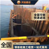 重庆拉森钢板桩的型号工程机械 联系电话上海天铂