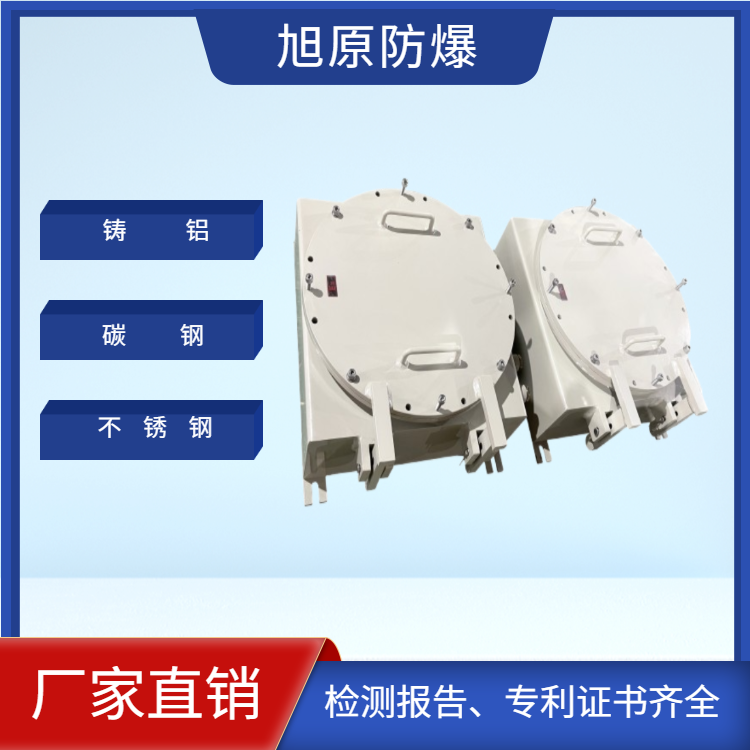 定制防爆控制箱 照明动力开关电源插座箱 电伴热仪表显示温控箱