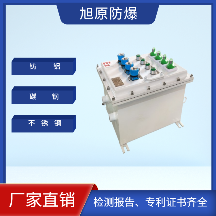 防爆控制箱定制 照明动力电源检修箱 电伴热温控仪表显示箱 非标