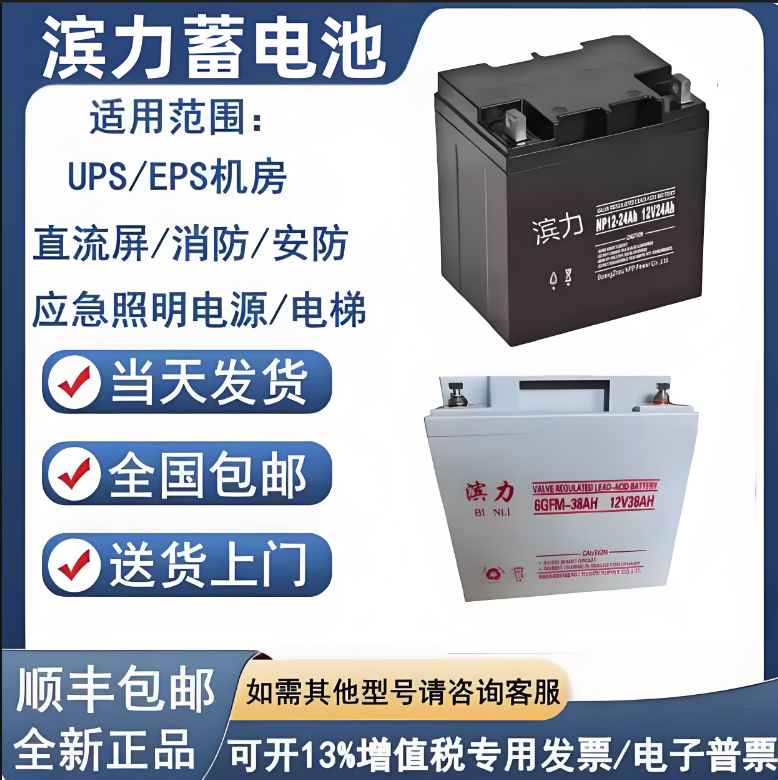 滨力BINL蓄电池MF12-33 12V33AH仪器 高低压配电柜 机房应急电源