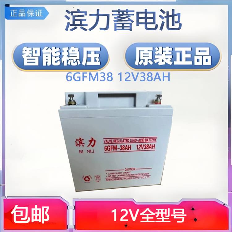 BINLI滨力蓄电池6GFM38 12V38AH 铅酸固定式直流屏备用电源EPS