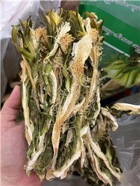 中药霸王花批发-量天尺花功效和作用-剑花价格-七星剑花超细粉
