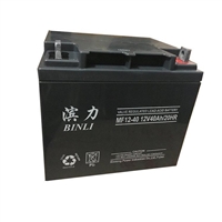 滨力BINL蓄电池MF12-200 12V200AH/10HR应急电源配电柜船舶