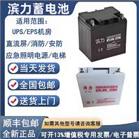 滨力BINL蓄电池MF12-33 12V33AH仪器 高低压配电柜 机房应急电源