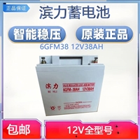BINLI滨力蓄电池6GFM38 12V38AH 铅酸固定式直流屏备用电源EPS