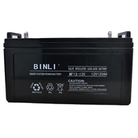 BINLI滨力蓄电池12V120AH 免维护电瓶6-GFM120直流屏UPS电源专用