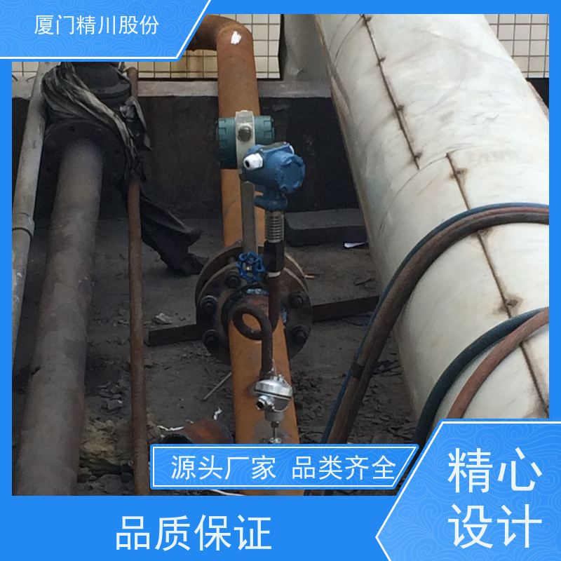 精川股份 人造革厂 饱和蒸汽流量计 可耐温350度 服务量少