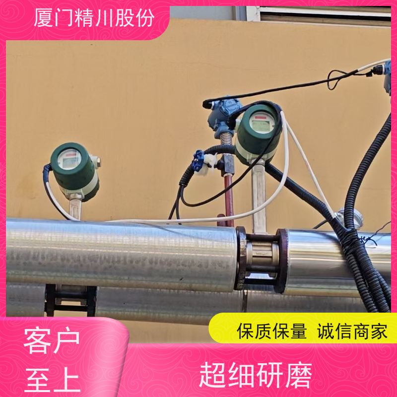精川股份 食品厂 过热蒸汽流量计 分体式温压补偿 支持免费选型