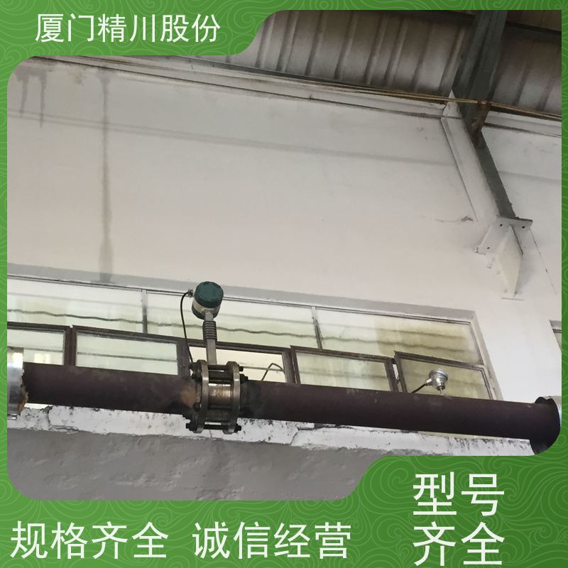 精川股份 合成革厂 导热油炉流量计 出厂都会设置好 单位可选