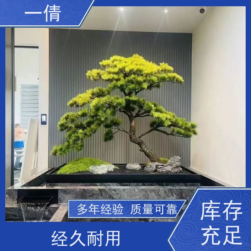 一倩花卉 办公室 富贵树 开业花篮租赁 全城配送 上门养护