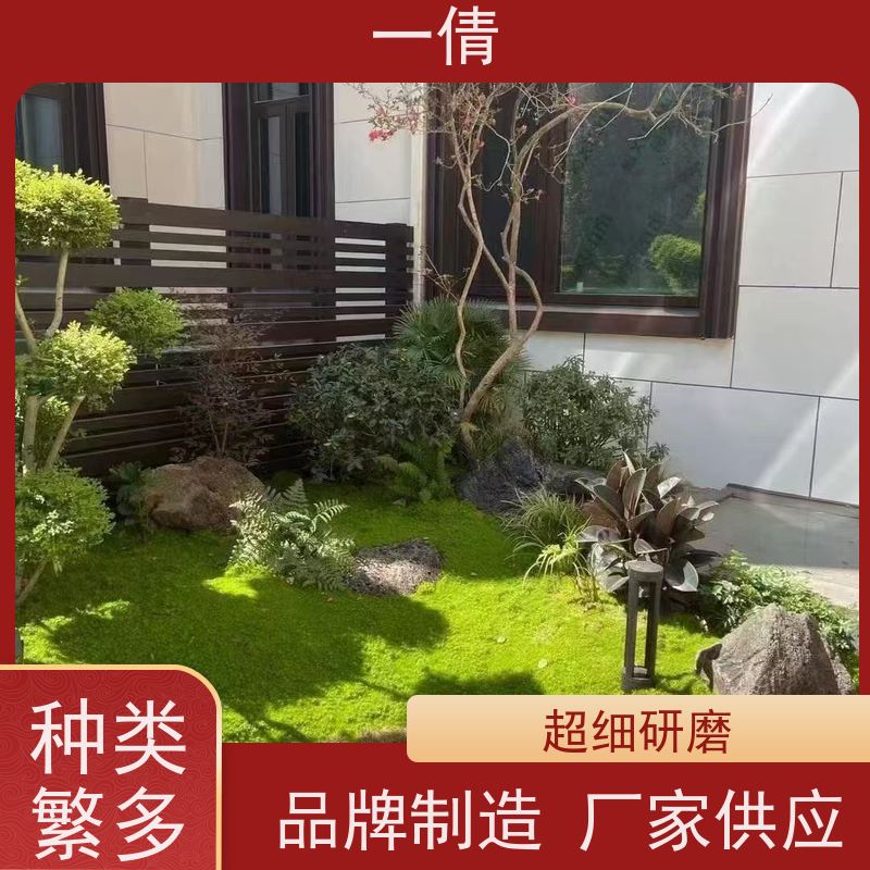 一倩花卉 办公室 富贵竹 花卉租赁 全城配送 上门养护