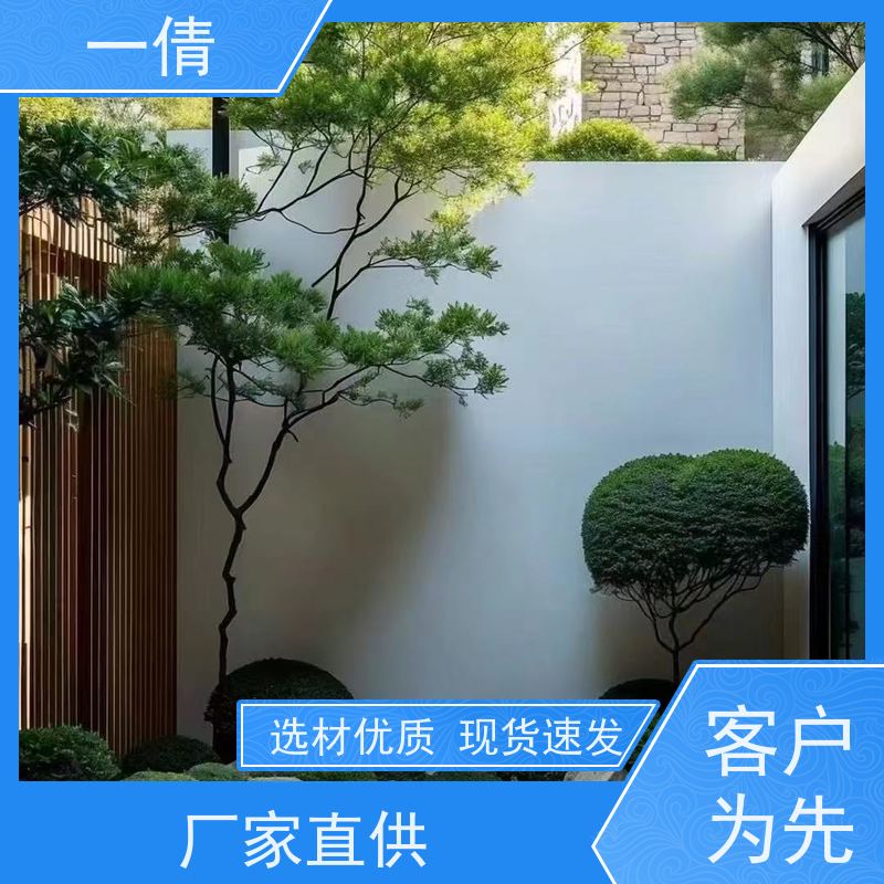 一倩花卉 室内 绿精灵 花卉租赁 种类繁多 规格齐全