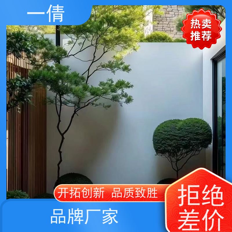 一倩花卉 深圳 白掌 开业花篮租赁 桌面绿植 花木护理