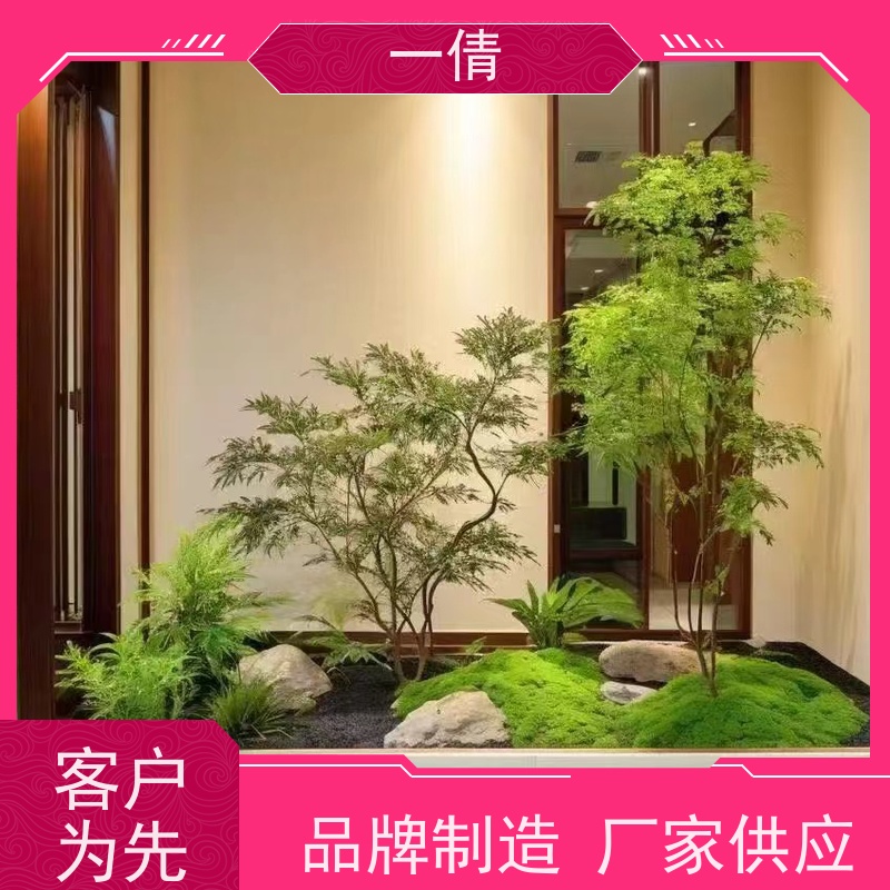 一倩花卉 室内 富贵竹 绿植出售 全城配送 上门养护