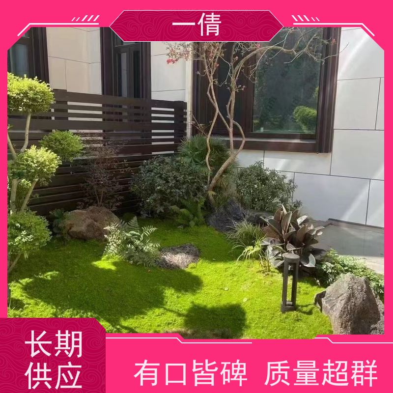 一倩花卉 办公室 单杆发财树 绿植租赁 桌面绿植 花木护理