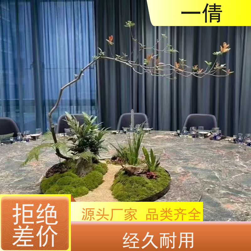 一倩花卉 前台 满堂红 绿植租赁 全城配送 上门养护