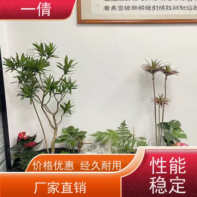一倩花卉 办公室 平安树 室内植物出租 种类繁多 规格齐全