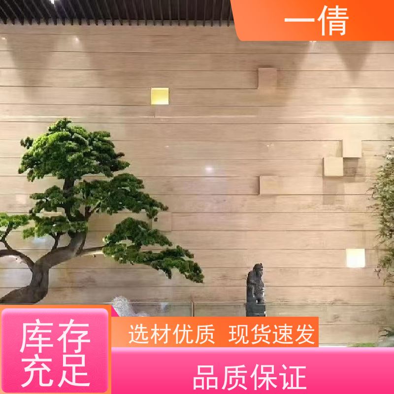 一倩花卉 深圳 紫檀 室内植物出租 种类繁多 规格齐全