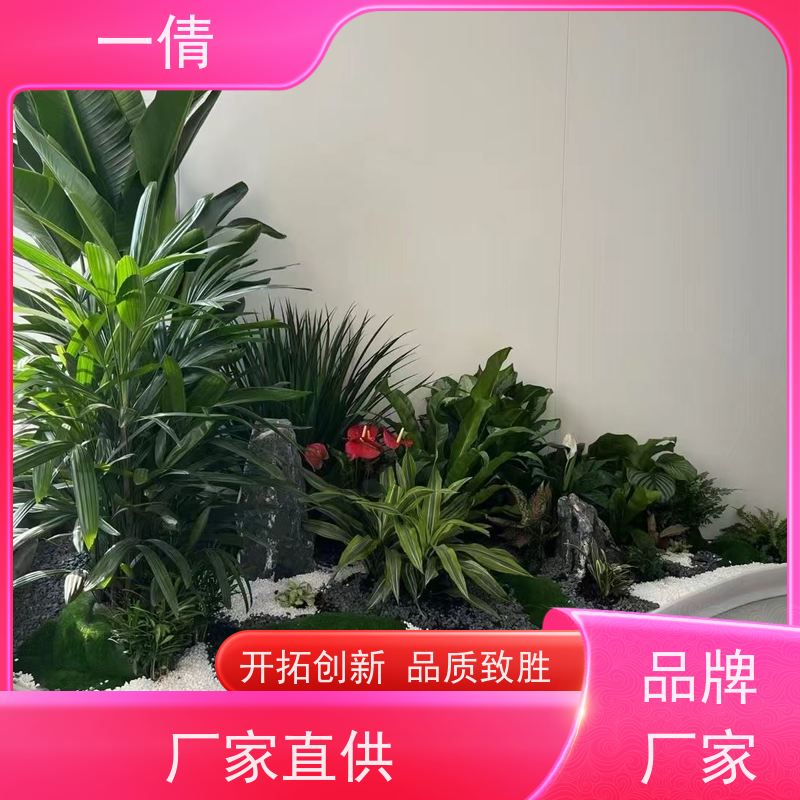 一倩花卉 室内 君子兰 花卉租赁 全城配送 上门养护