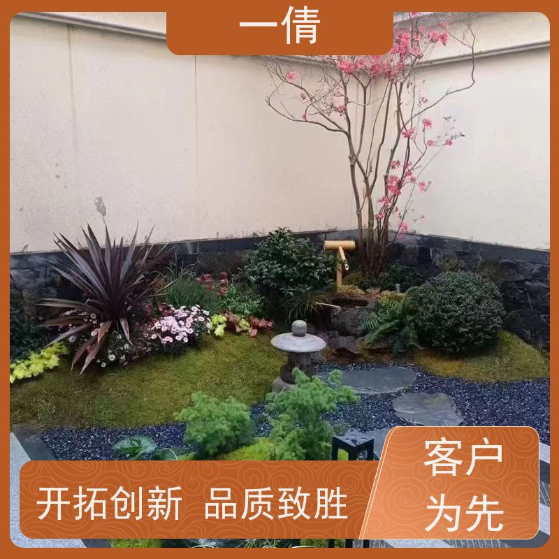 一倩花卉 室内 杜鹃 开业花篮租赁 桌面绿植 花木护理