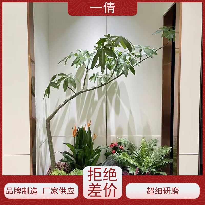 一倩花卉 深圳 鸭脚木 绿植租摆 全城配送 上门养护