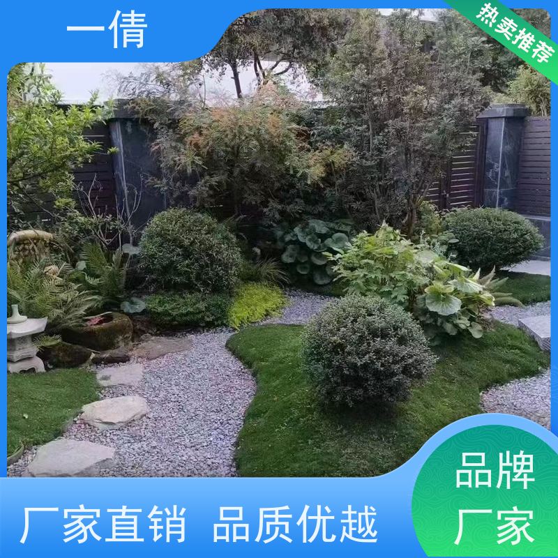 一倩花卉 办公室 夏威夷竹 花卉租赁 全城配送 上门养护