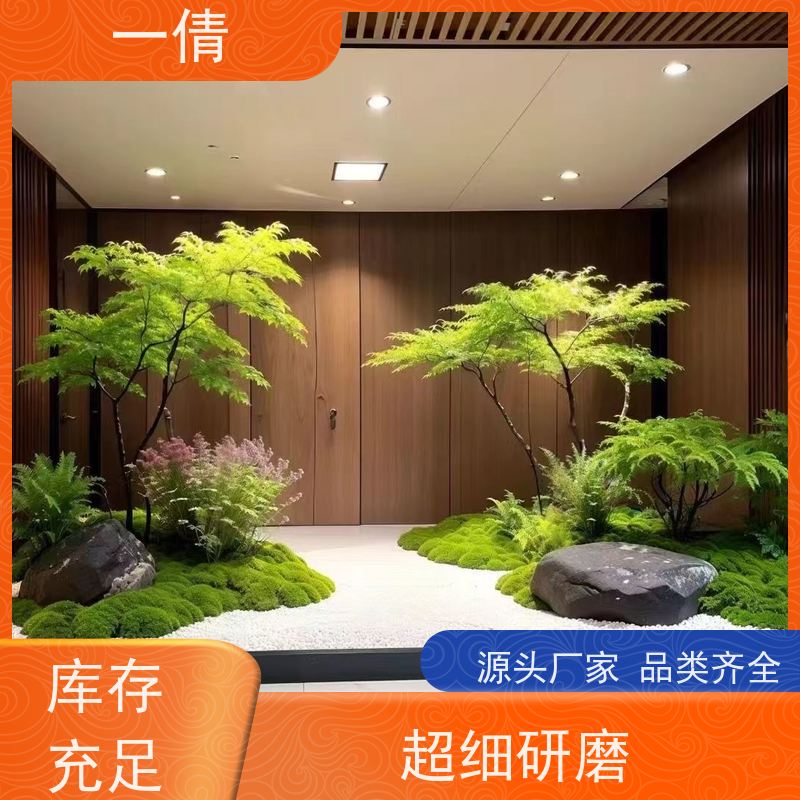 一倩花卉 深圳 红蝴蝶兰 绿植租摆 全城配送 上门养护