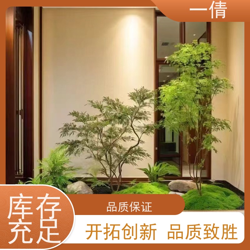 一倩花卉 办公室 虎尾兰 开业花篮租赁 净化空气