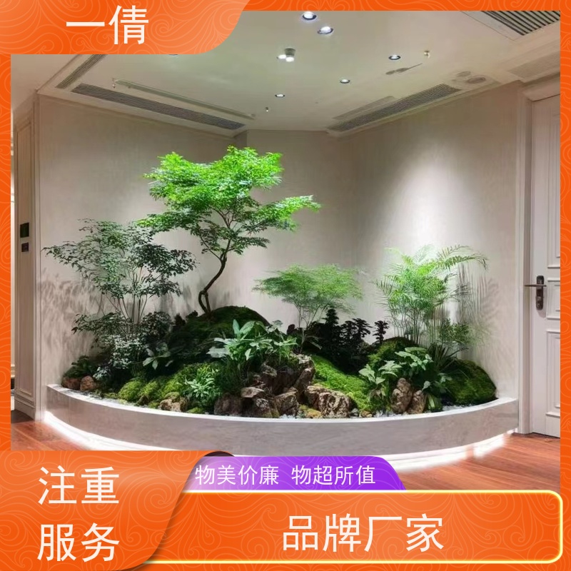 一倩花卉 深圳 砖石翡翠 开业花篮租赁 桌面绿植 花木护理