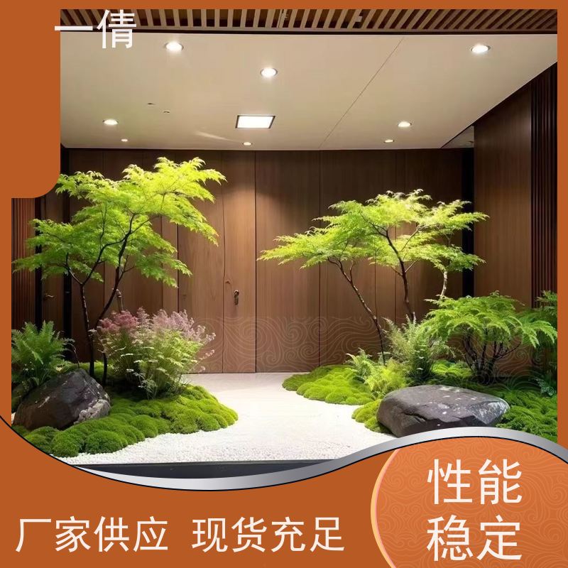 一倩花卉 深圳 单杆幸福树 绿植租赁 种类繁多 规格齐全