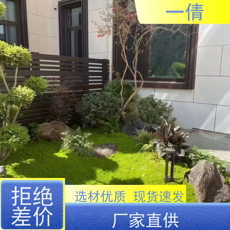 一倩花卉 室内 君子兰 花卉租赁 桌面绿植 花木护理