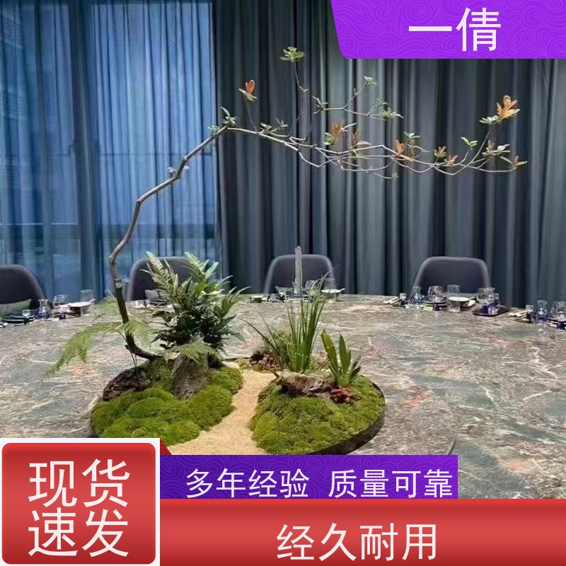 一倩花卉 办公室 绿巨人 绿植租赁 种类繁多 规格齐全