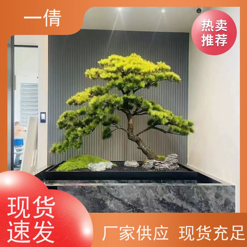 一倩花卉 深圳 造型螺纹铁 开业花篮租赁 净化空气