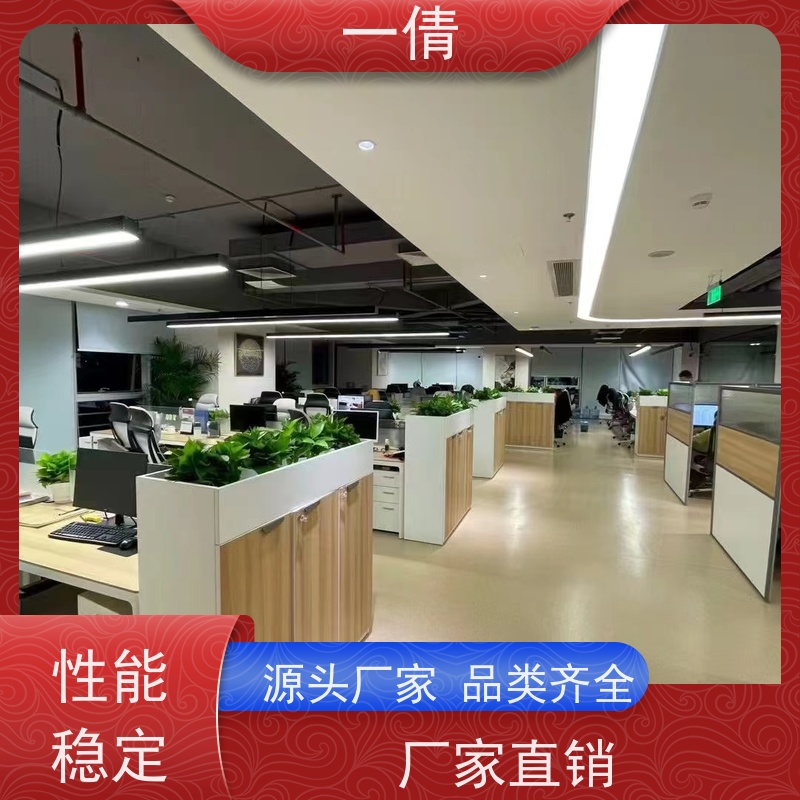 一倩花卉 室内 高山榕 绿植租赁 种类繁多 规格齐全
