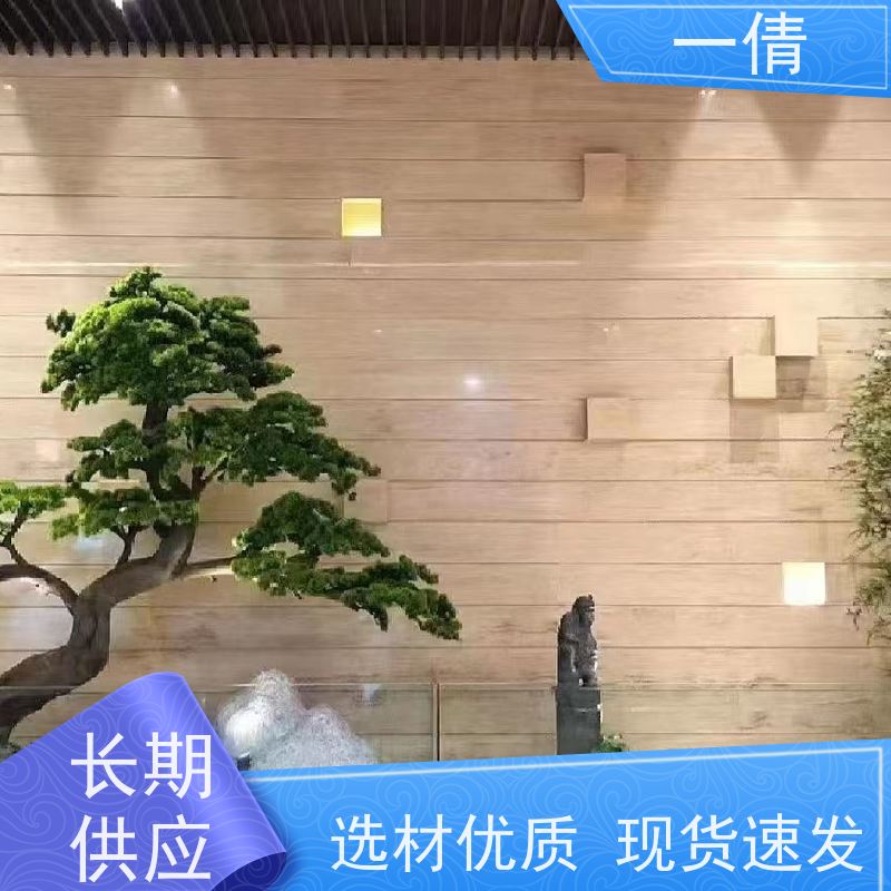 一倩花卉 深圳 保罗 绿植租摆 桌面绿植 花木护理