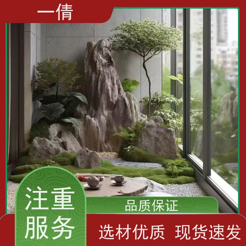一倩花卉 深圳 铁树 室内植物出租 全城配送 上门养护