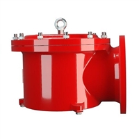 新品供应PROTEGO阻火器