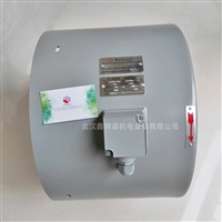 变频电机配套G-series Ventilator散热风机冷却风扇G-200A