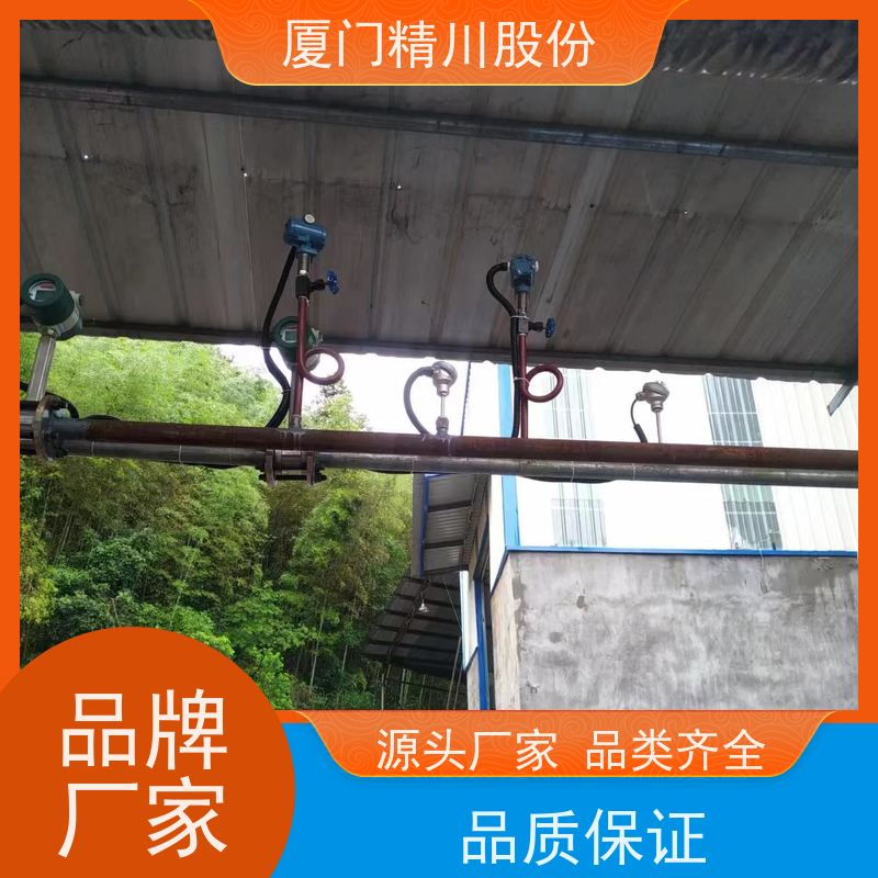 精川股份 造纸厂 压缩空气流量计 一体式温压补偿 源头生产厂家