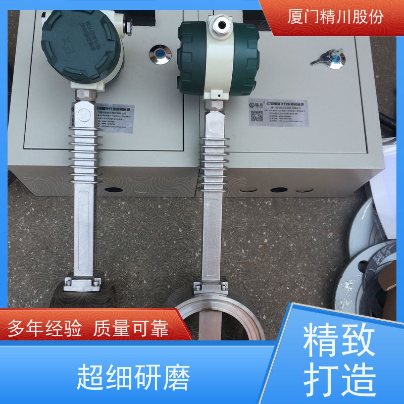 精川股份 合成革厂 导热油炉流量计 耐高温400度 经久耐用