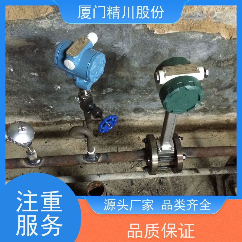 精川股份 制革厂 蒸汽流量计 分体式温压补偿 源头生产厂家