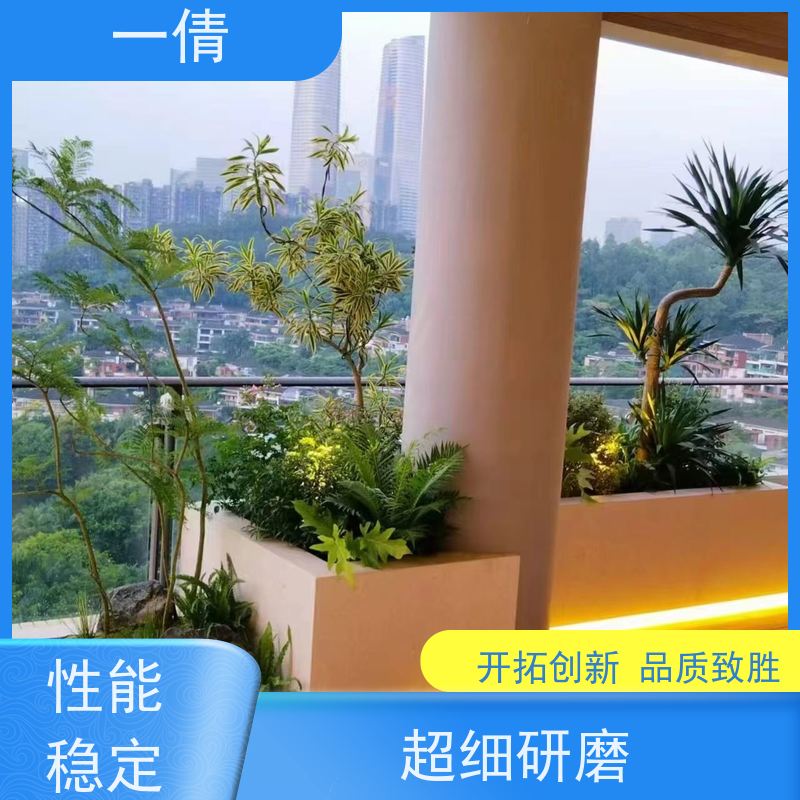 一倩花卉 前台 绿巨人 绿植出售 桌面绿植 花木护理