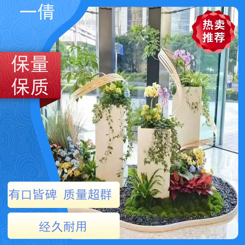 一倩花卉 深圳 7寸盆四季桔 绿植租摆 桌面绿植 花木护理