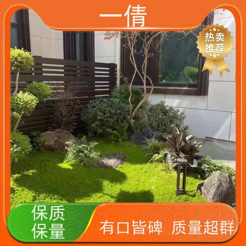 一倩花卉 办公室 苹果树 开业花篮租赁 净化空气