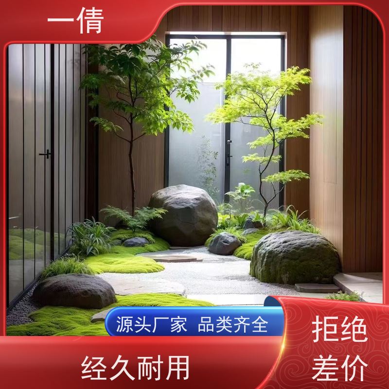 一倩花卉 室内 龙血树 花卉租赁 桌面绿植 花木护理