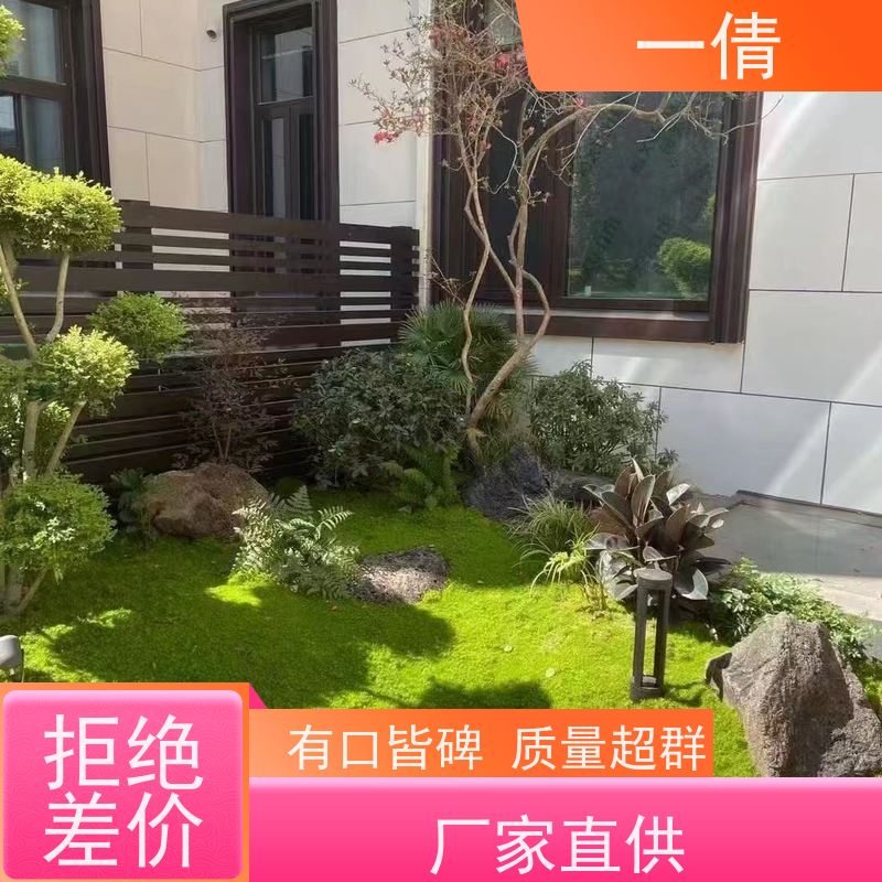 一倩花卉 办公室 好事花生 室内植物出租 桌面绿植 花木护理