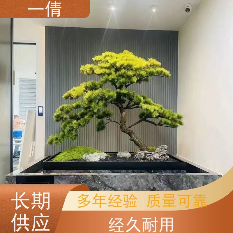 一倩花卉 办公室 富贵籽 开业花篮租赁 净化空气