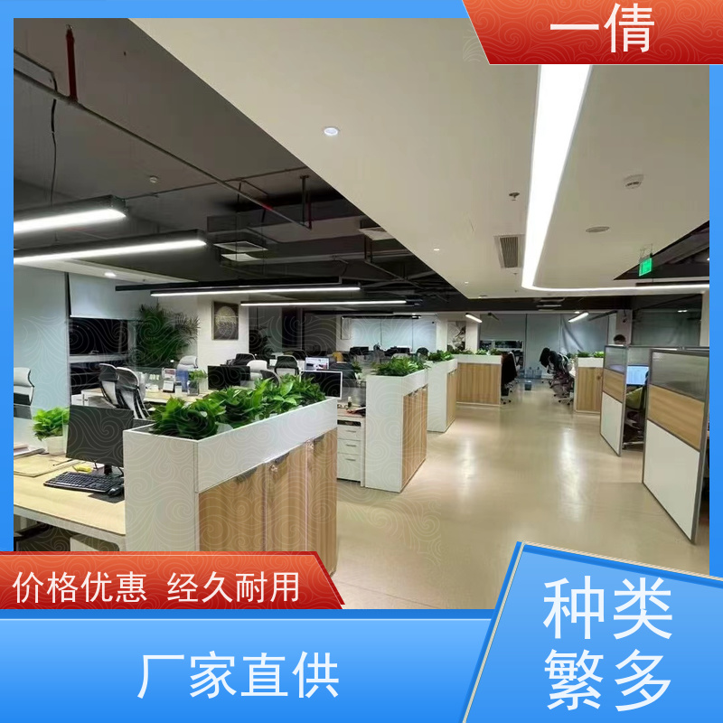 一倩花卉 室内 金钱树 绿植租摆 全城配送 上门养护