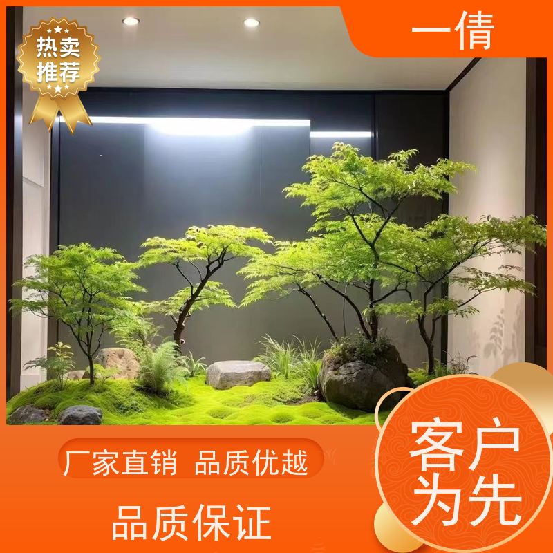 一倩花卉 室内 富贵树 开业花篮租赁 桌面绿植 花木护理