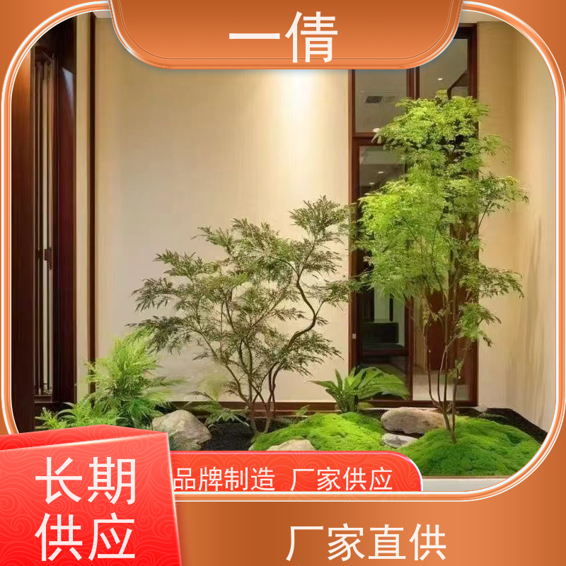 一倩花卉 深圳 翡翠 绿植租摆 桌面绿植 花木护理